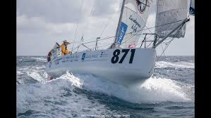 Image result for Pogo minitransat