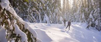 Image result for Inverness Nordic Ski Club