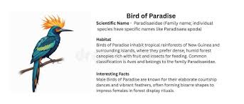 Attēlu rezultāti vaicājumam “Passeriformes”