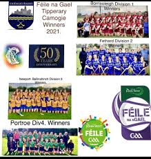 Image result for St Rita`s Camogie Club