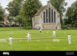 Image result for Chichester Priory Park Cc