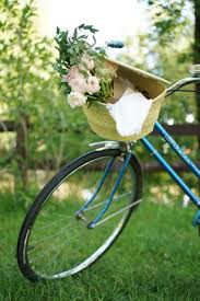 Image result for bicycle basket