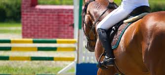 Image result for Huntingdon and District Riding Club