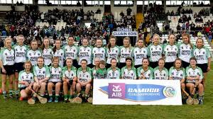 Image result for Sarsfields Hurling Club
