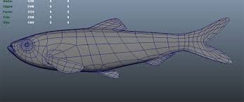 Image result for Alosa chrysochloris