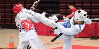 Image result for Parkgate Taekwondo Club