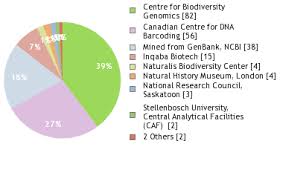 Attēlu rezultāti vaicājumam “Atylotus sp.”