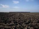 TF5824 : Tilled soil looking - via Daymix