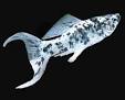Shop Online to Buy Molly Fish for Sale at AquariumFish.