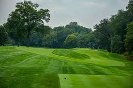 Image result for York University Golf Club