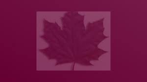 Image result for Sibton Park Cricket Club