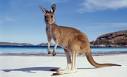 Australia Luxry Vacations | Australian Vacation Tours | All Inclusive