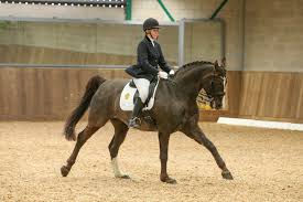 Image result for Thames Valley Riding Club