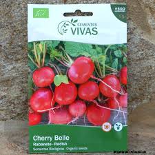 Image result for Radieschen