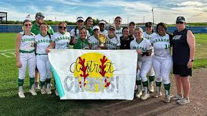 Image result for Dragons Softball Club
