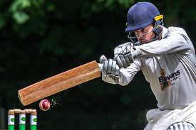Image result for Mulgrave Cc