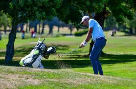 Image result for Launceston Golf Club