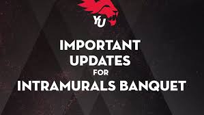 Image result for York University Dodgeball Club