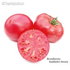Afbeeldingsresultaat voor brandywine sudduth tomato