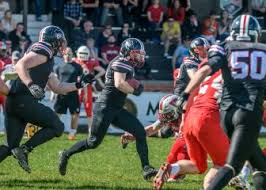 Image result for Edinburgh Wolves