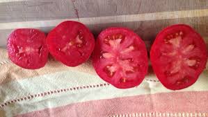 Afbeeldingsresultaat voor CDB tomato