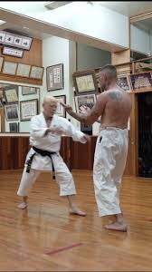Image result for Uechi-Ryu Karate Do, Hedge End