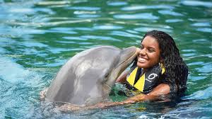 Image result for Adventure Dolphin