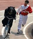 animal riding