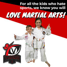 Image result for Vision Martial Arts
