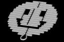 DNA origami creates complex nanostructures - nanotechweb.