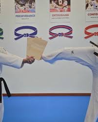 Image result for Kidderminster Tae Kwon Do Tigers