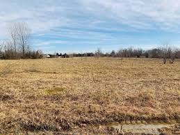 Image result for Carman Stables