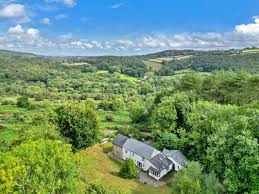 Image result for Newton Abbott Knights