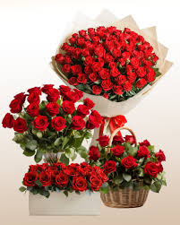 Image result for Red Rose Cc