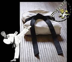 Image result for Utf Taekwondo Cymru Cardiff