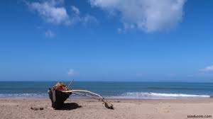 Image result for patnem beach