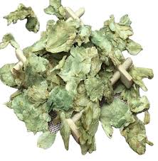 Attēlu rezultāti vaicājumam “Humulus lupulus bud”