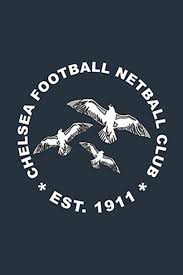 Image result for Old Chelts Netball Club