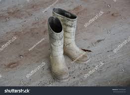 Image result for Gumboots