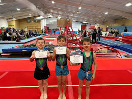 Image result for North Cheshire Brookfields Gym Club