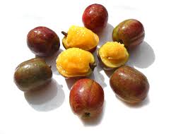 Attēlu rezultāti vaicājumam “Silene viscaria fruit”