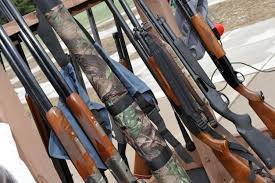 Image result for Whitehead Air Rifle & Pistol Club