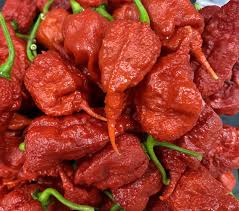 Afbeeldingsresultaat voor red fratali hot pepper