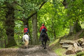 Image result for Greenways Riding Stable Lower Eashing
