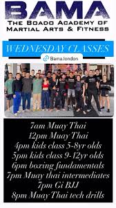 Image result for Bushido Academy Of Martial Arts (Bama)