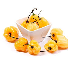 Afbeeldingsresultaat voor peach habanero hot pepper