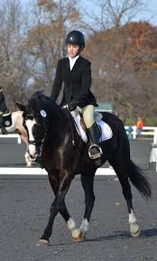 Image result for Reading University Riding Club