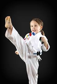 Image result for Dallo Martial Arts