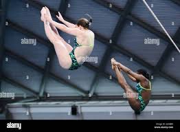 Image result for Luton British Sub Aqua Club