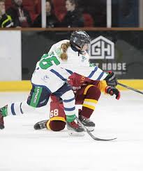 Image result for Kingston Ice Dance Club